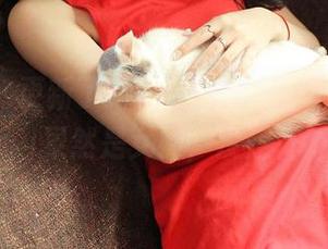 推女神 – 更新了新的夏日图包,尤美Yumi果然是女神,没走样