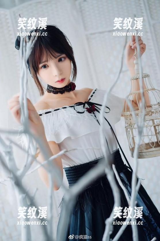 疯猫ss 疯猫ss带你在线看和服,没事别别再刷剧了吧